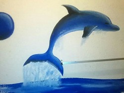 Dolphin