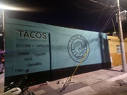 Tacos shark