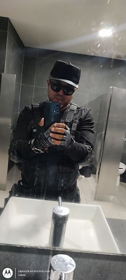 Dvl